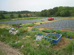 DSCN2635.JPG