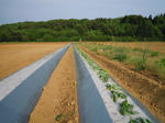 DSCN2680.JPG