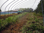 DSCN3065_01.JPG