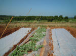 DSCN3090.JPG