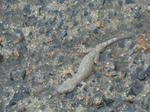DSCN3104.JPG