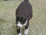 DSCN3105.JPG