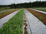 DSCN3271.JPG