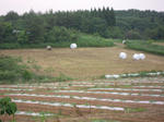 DSCN3285.JPG