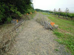 DSCN3299.JPG