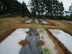 DSCN3302.JPG