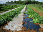 DSCN3539.JPG