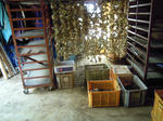 DSCN3563.JPG