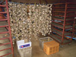 DSCN3586.JPG