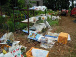DSCN3707.JPG