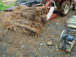 DSCN3711.JPG