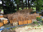 DSCN3715.JPG