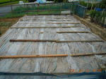 DSCN3942.JPG