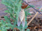 DSCN3951.JPG