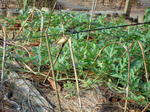 DSCN3953.JPG
