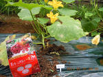DSCN4096.JPG