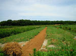 DSCN3825.JPG