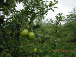 DSCN3832.JPG