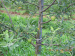DSCN3851.JPG