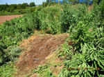 DSCN3875.JPG