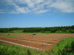 DSCN3894.JPG