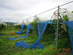 DSCN3925.JPG