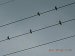 DSCN3927.JPG