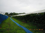 DSCN3972.JPG