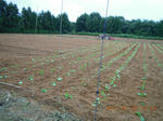 DSCN3974.JPG