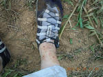 DSCN3975.JPG