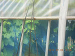 DSCN3986.JPG
