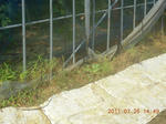 DSCN3997.JPG