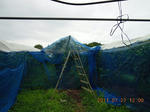 DSCN4013.JPG
