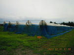 DSCN4030.JPG