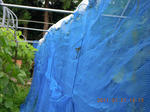 DSCN4017.JPG