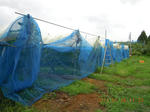 DSCN4048.JPG
