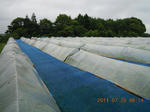 DSCN4052.JPG