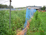 DSCN4072.JPG