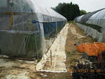 DSCN4010.JPG