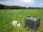 DSCN4143.JPG