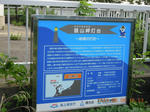 DSCN4183.JPG