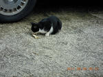 DSCN4156.JPG