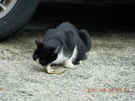 DSCN4158.JPG