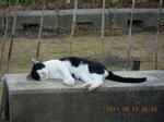 DSCN4240.JPG
