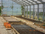 DSCN4338.JPG