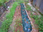 DSCN4426.JPG