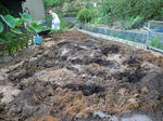 DSCN4564.JPG