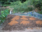 DSCN4565.JPG