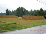 DSCN4650.JPG