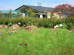 DSCN4642.JPG